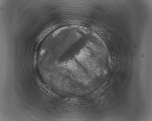 X0000086080194200704091310