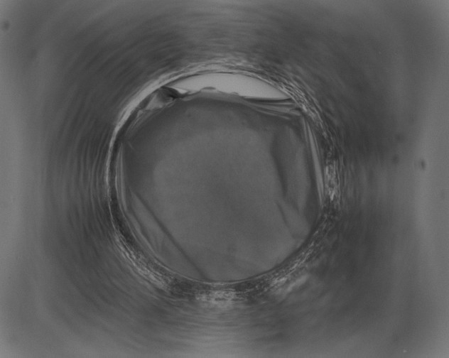 X0000086080196200704091310