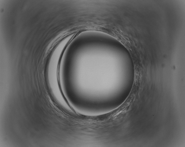 X0000086080197200704091310