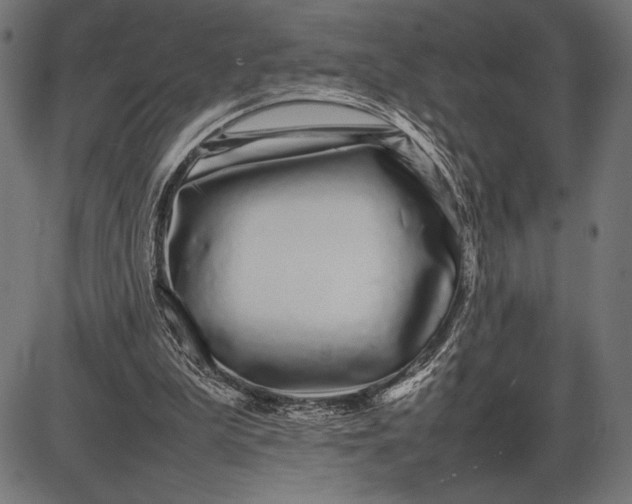 X0000086080199200704091310