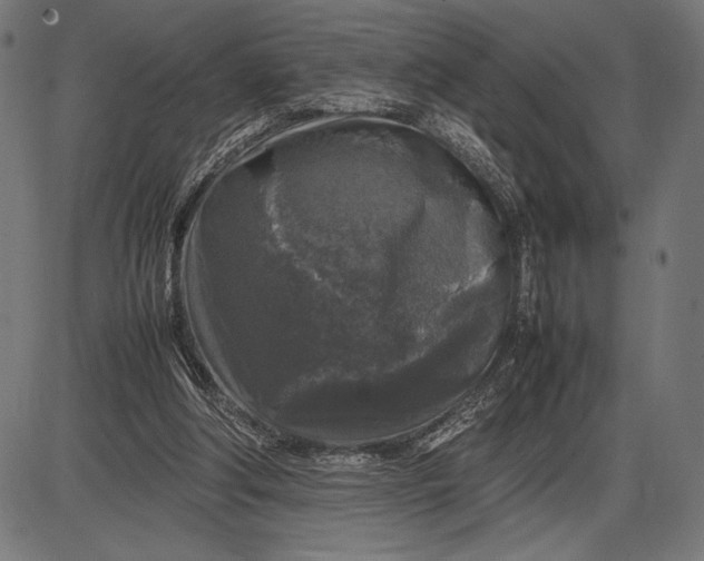 X0000086080202200704091309