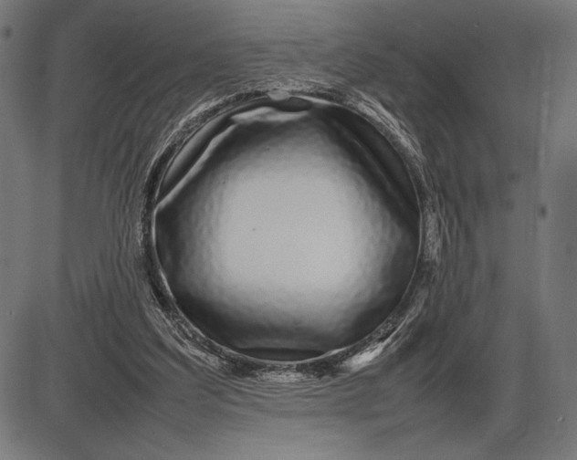 X0000086080203200704091309