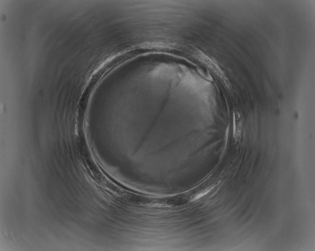 X0000086080204200704091309