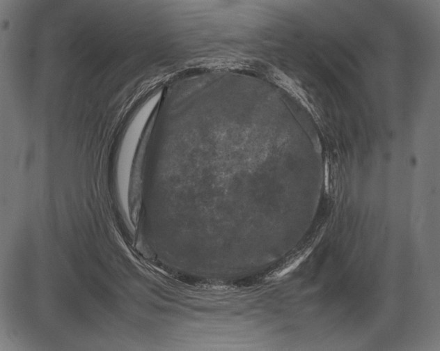 X0000086080205200704091309