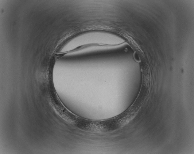 X0000086080207200704091309