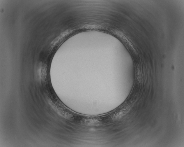 X0000086080208200704091309