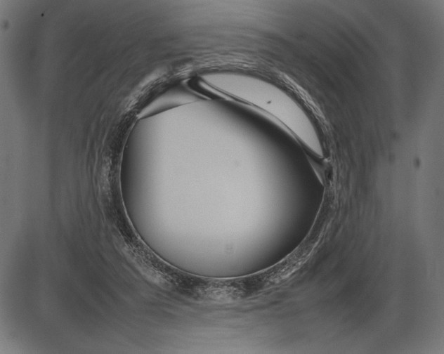 X0000086080209200704091309