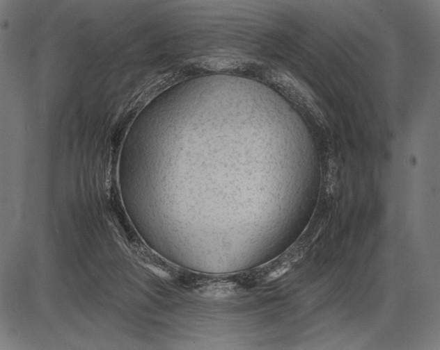 X0000086080210200704091309