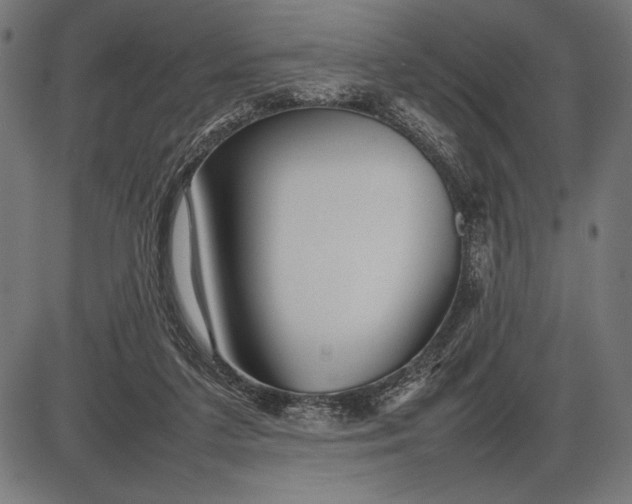 X0000086080211200704091309