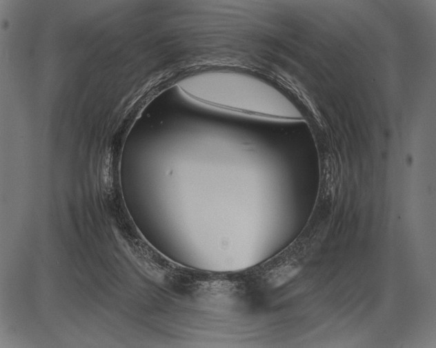 X0000086080212200704091309