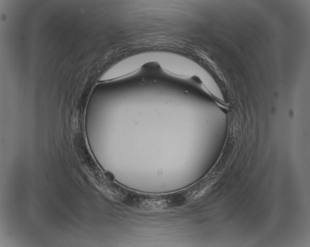 X0000086080213200704091309