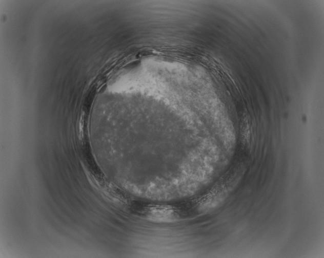 X0000086080214200704091309