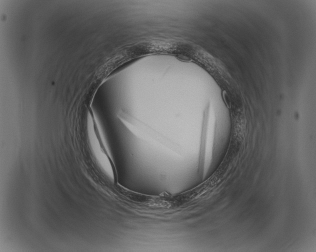 X0000086080215200704091309