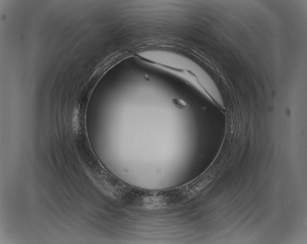 X0000086080216200704091309