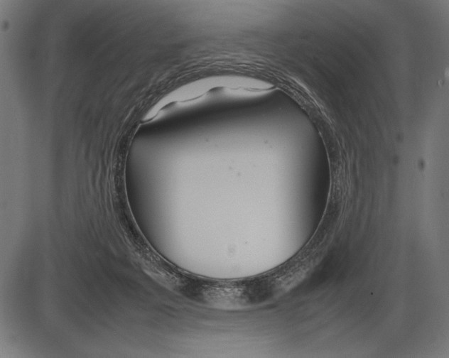 X0000086080217200704091309