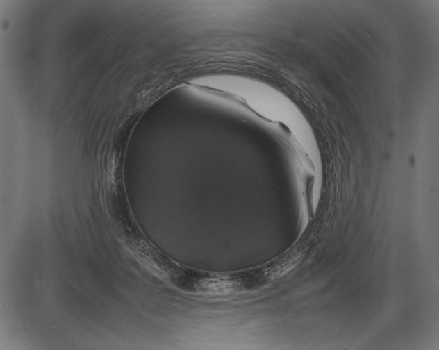 X0000086080219200704091309