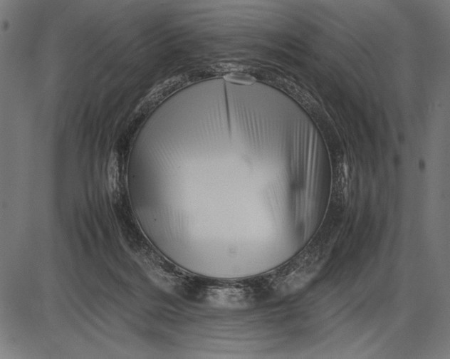 X0000086080220200704091309