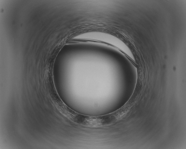 X0000086080221200704091309