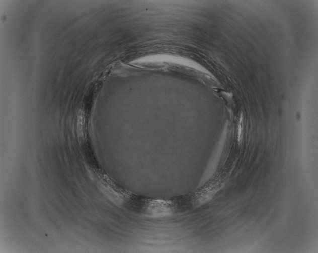 X0000086080222200704091309