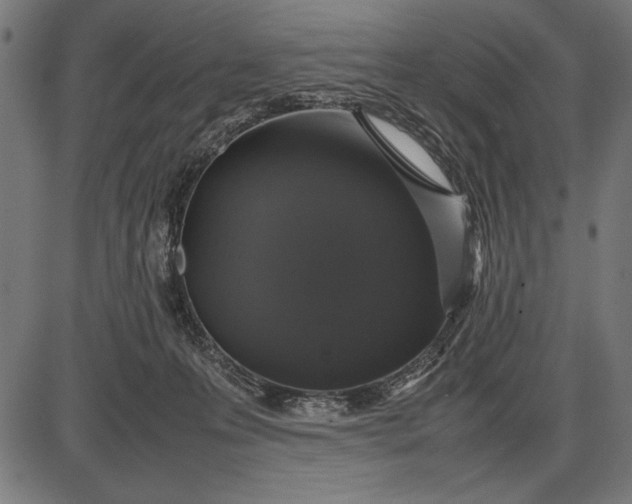 X0000086080223200704091309