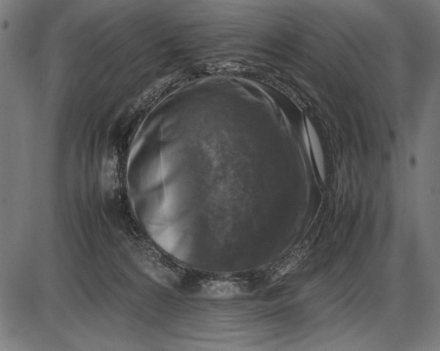 X0000086080224200704091309