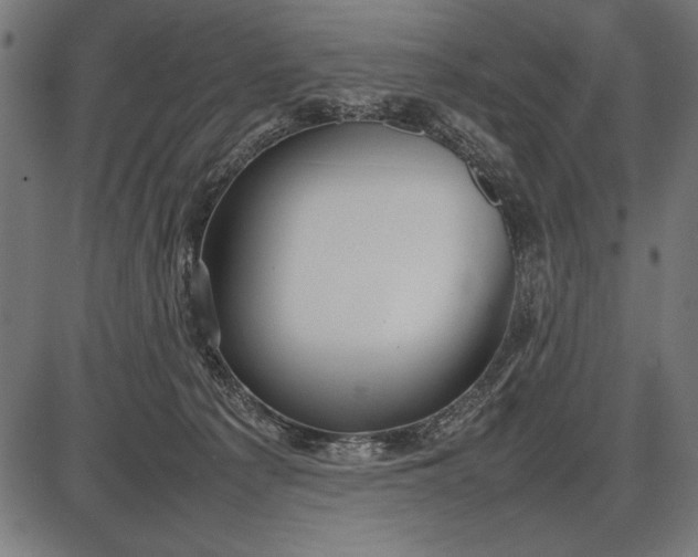 X0000086080225200704091309