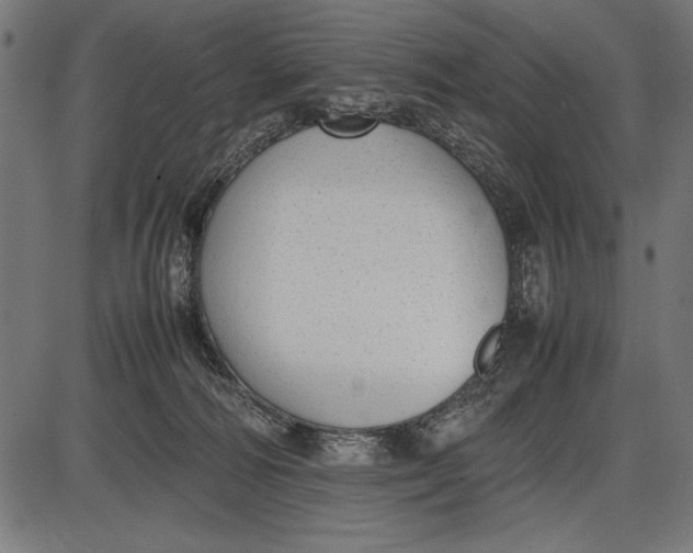 X0000086080226200704091309