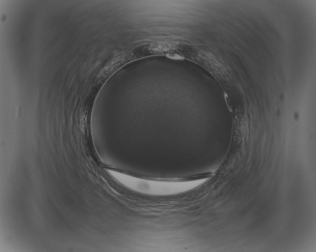 X0000086080227200704091309