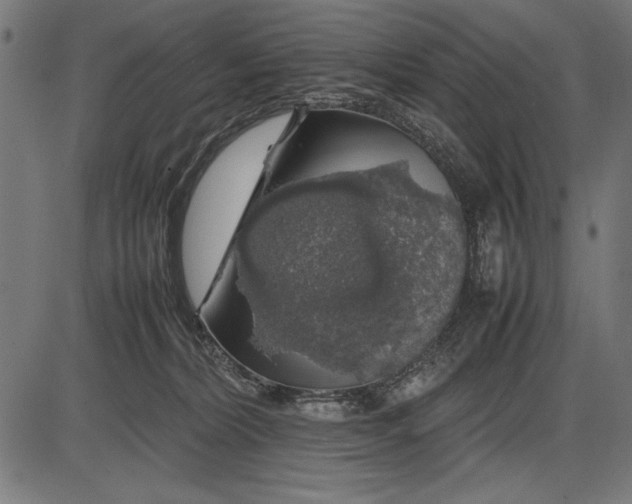 X0000086080228200704091309