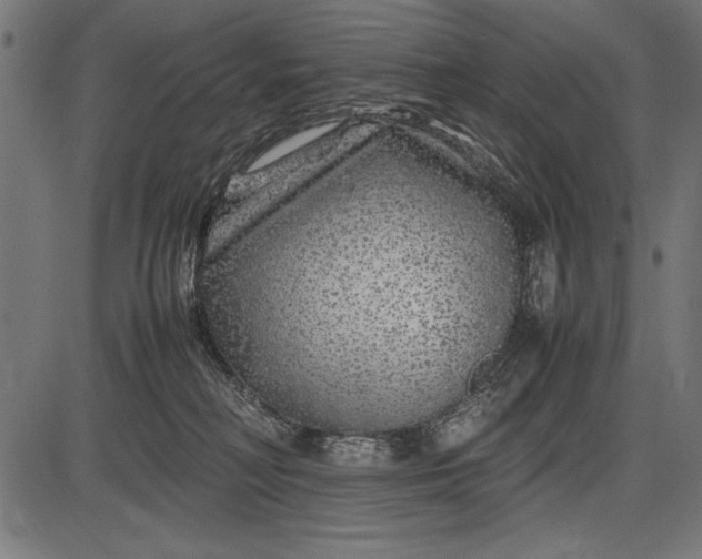 X0000086080230200704091309