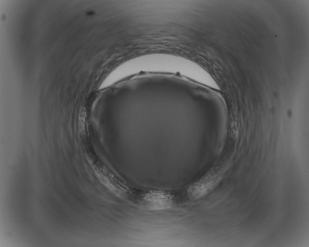 X0000086080231200704091309