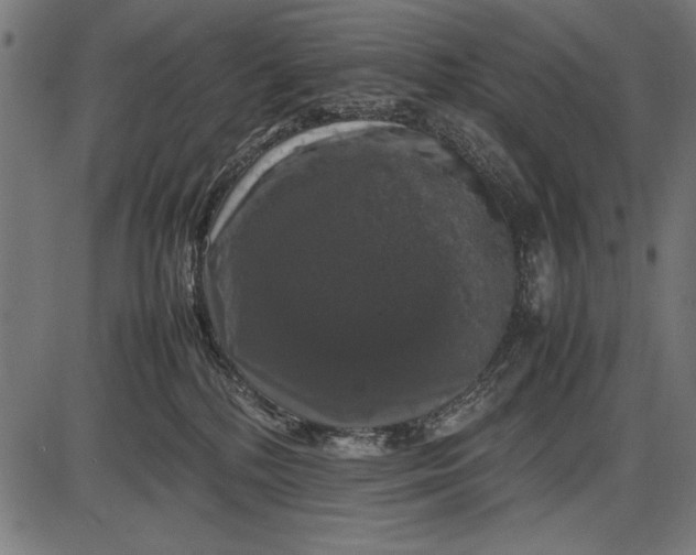 X0000086080232200704091309