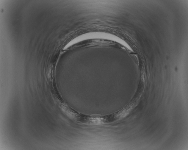 X0000086080233200704091309