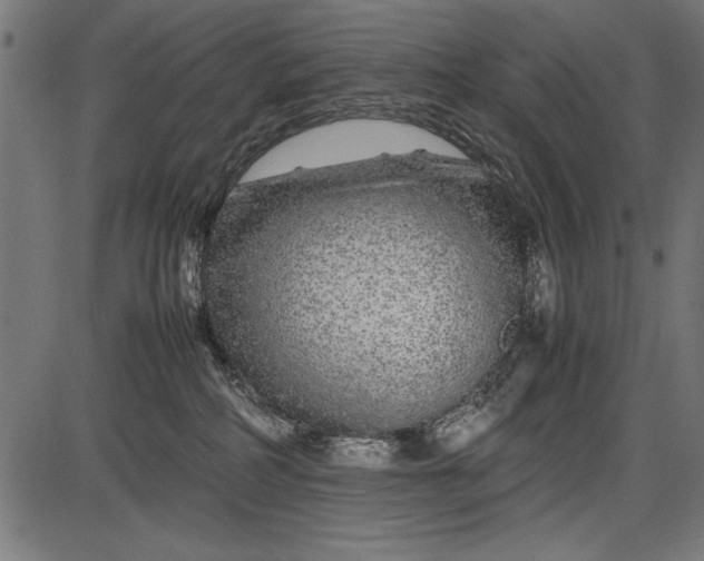 X0000086080234200704091309