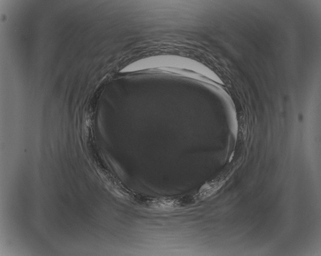 X0000086080235200704091309