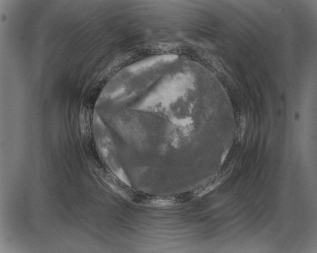 X0000086080236200704091309