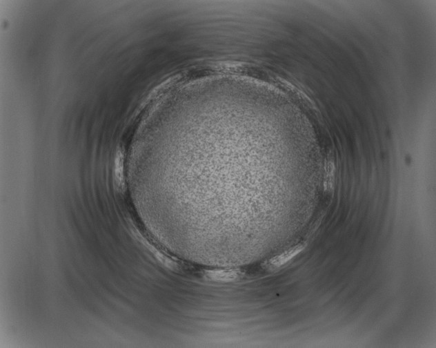 X0000086080238200704091309