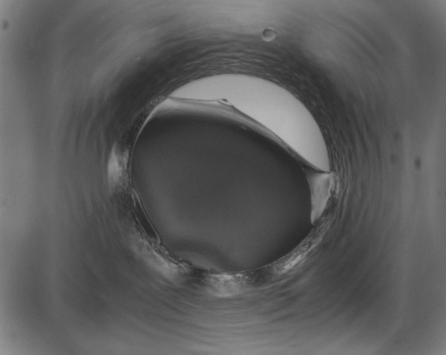 X0000086080239200704091309