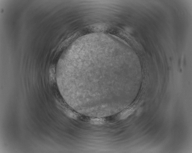 X0000086080240200704091309