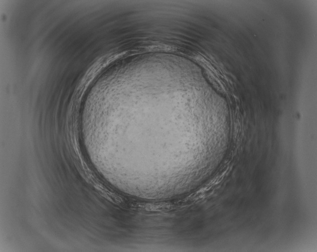 X0000086080241200704091308