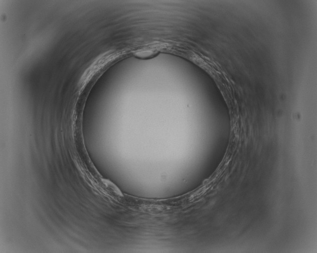 X0000086080242200704091308