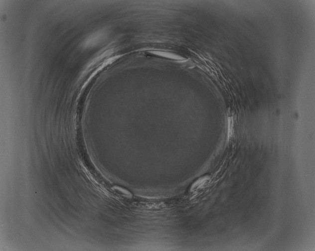 X0000086080243200704091308