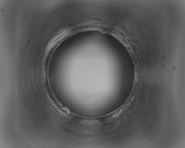 X0000086080245200704091308