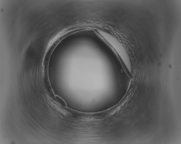 X0000086080246200704091308