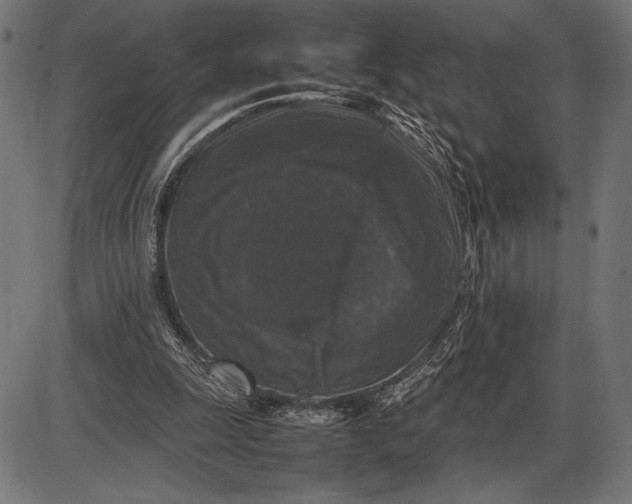 X0000086080247200704091308