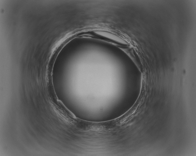 X0000086080248200704091308