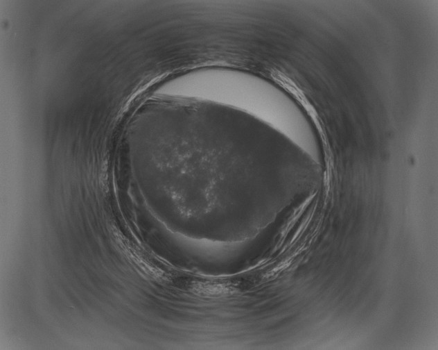 X0000086080249200704091308