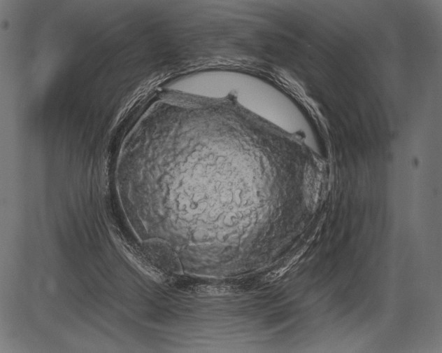 X0000086080250200704091308