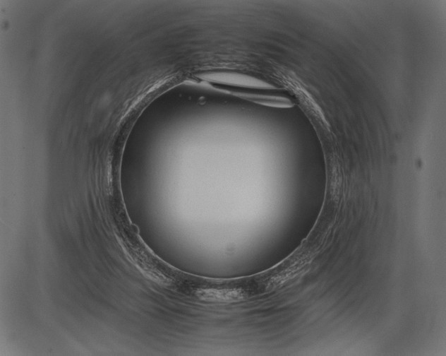 X0000086080251200704091308