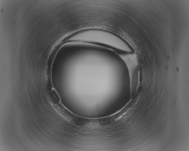 X0000086080252200704091308